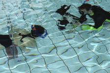 schnuppertauchen 2012_01_06_62